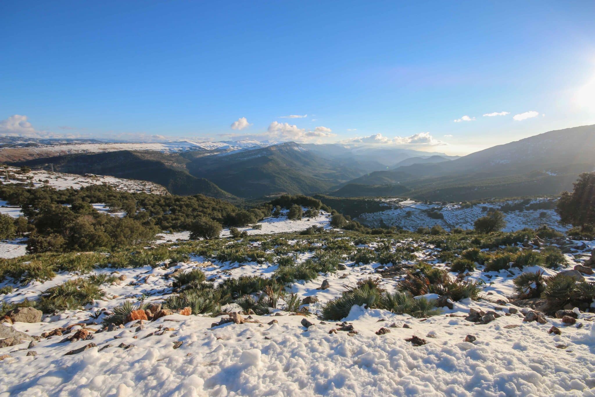 Is January a Good Time to Visit Morocco? A Solo Traveller’s Guide