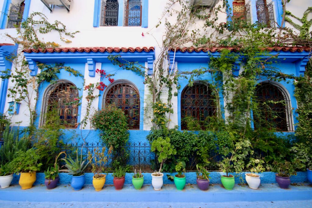 Travelling solo to Chefchaouen: Colourful pot plants outside a medina building