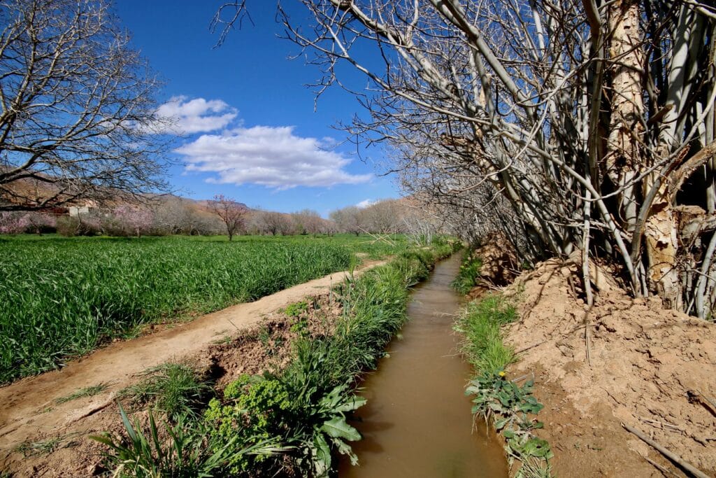 An irrigation channel flows along an agricultural field in Dades Gorge