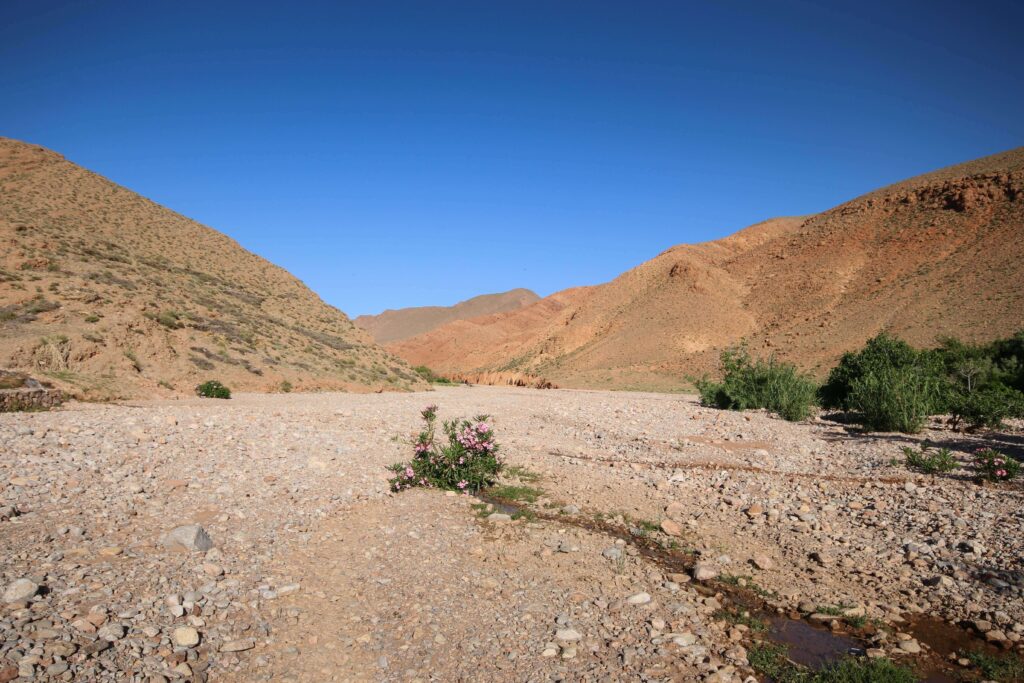 A rocky river bed en route between Marrakech and Merzouga