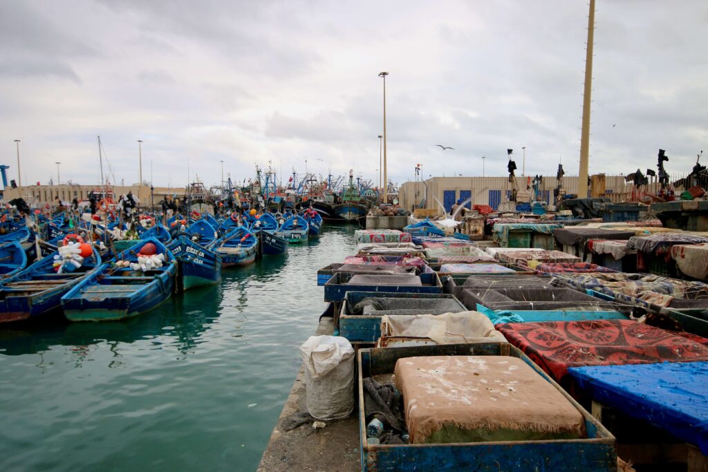Best things to do in Essaouira for solo travellers: Fishing boats moored at the port
