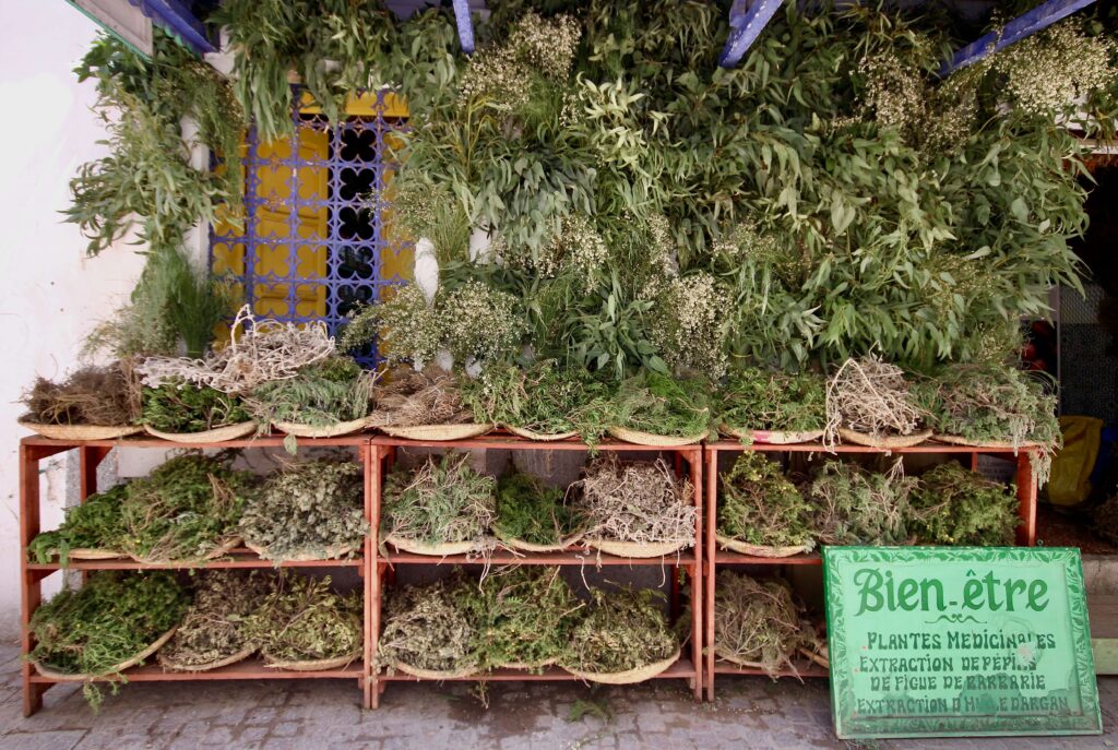 Medicinal plants and herbs for sale in the Essaouira medina
