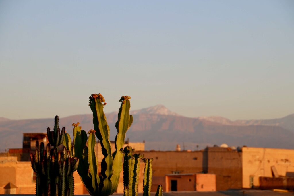 Best things to do in Marrakech for solo travellers: Watching the sunset from a rooftop terrace