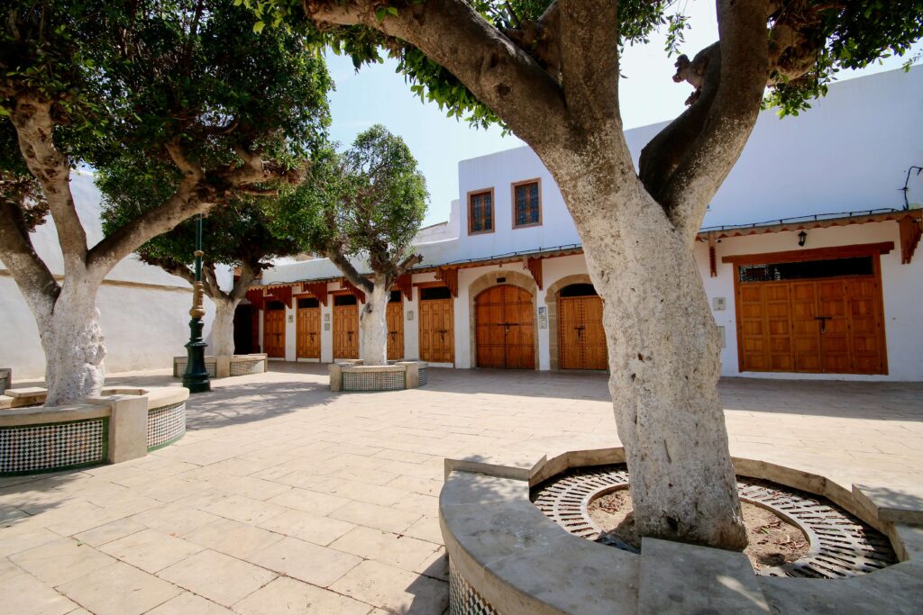 Wooden stalls frame a leafy marketplace in Sale, Morocco