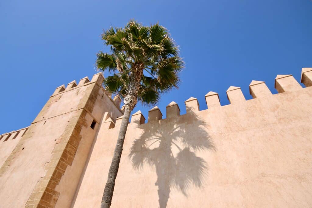 A palm tree rises beside the turreted wall of Rabat's Kasbah of the Oudaias
