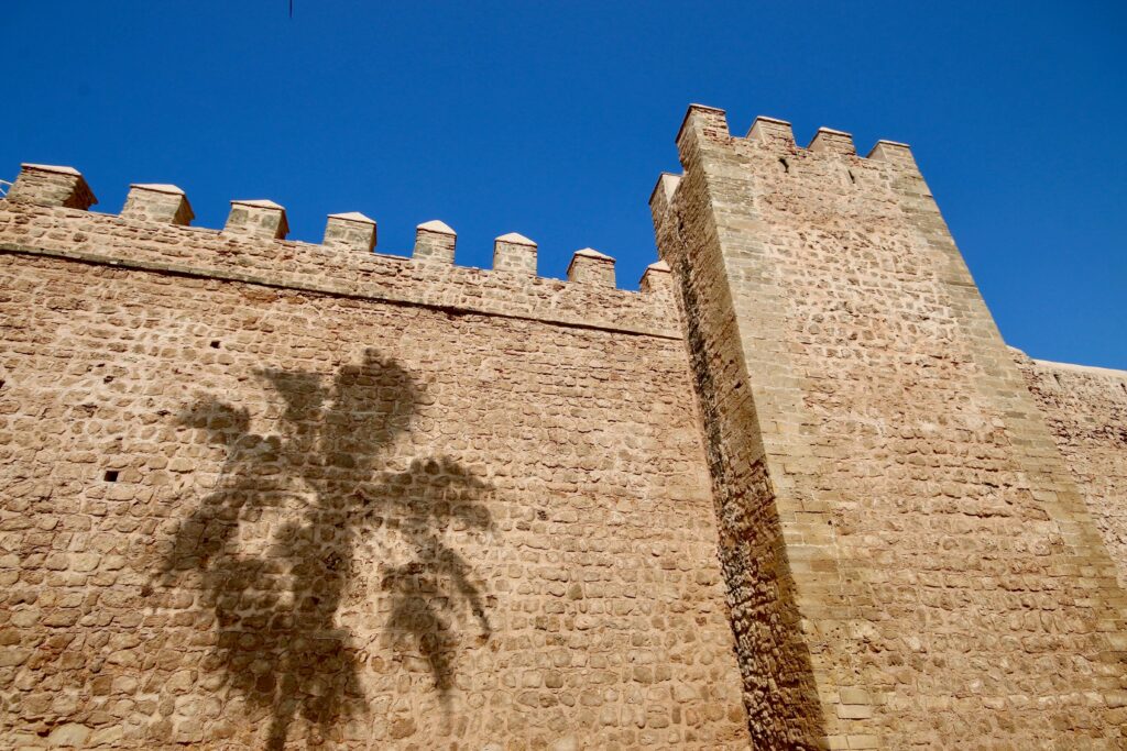 Is Morocco good for solo travelling? A palm tree shadow on the Kasbah of the Oudaias in Rabat