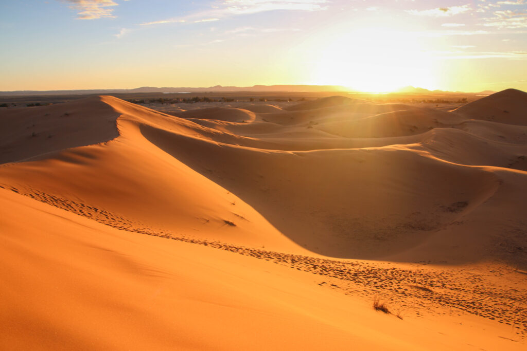 The early morning sun illuminates the dunes of the Sahara a golden colour
