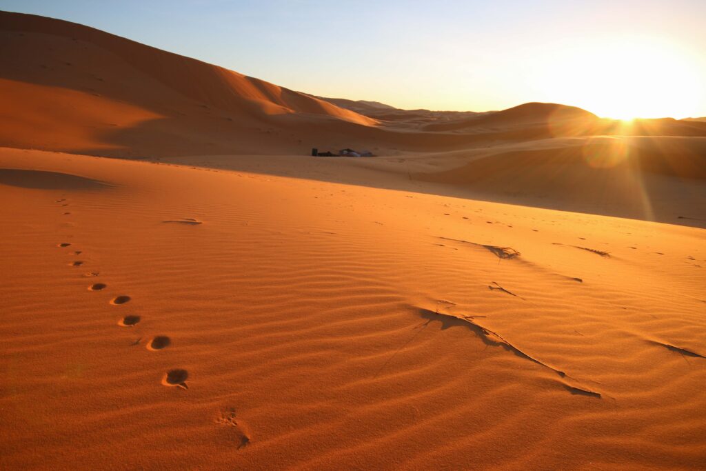 Camel footprints on a dune in the Sahara Desert - a popular destination for group tours and independent travellers in Morocco