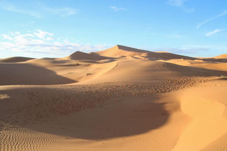 Golden dunes in the Sahara Desert