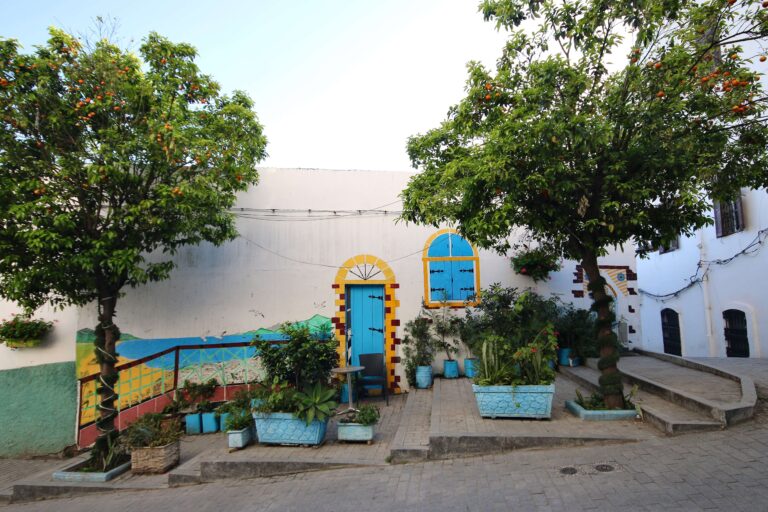 Solo Traveller’s Guide to Tangier: Morocco’s Northern Gateway