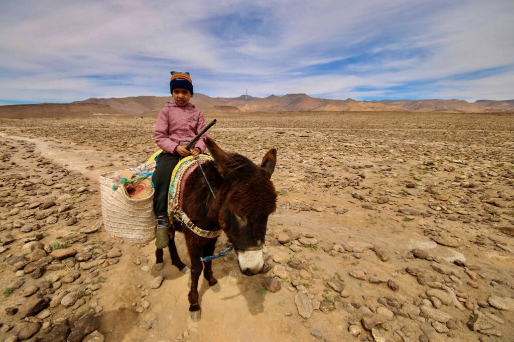 Basic Darija for tourists: A young Moroccan boy on a donkey in the Atlas Mountains